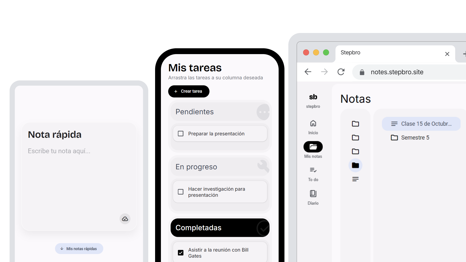 stepbro notes example