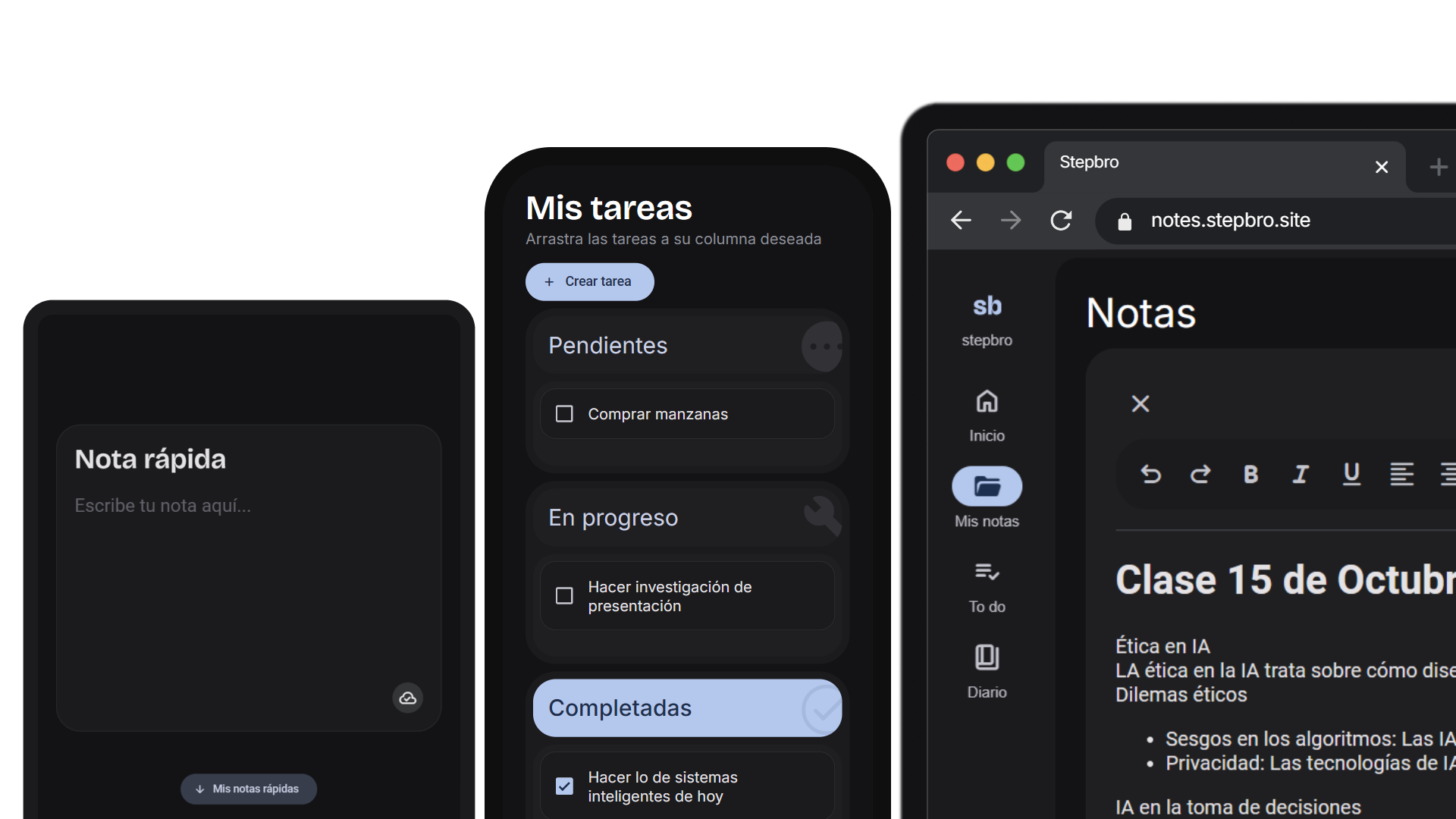 stepbro notes example